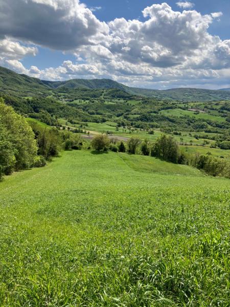 På bildet vises objektet Tuscany Nature Relax som ligger i byen Pieve Santo Stefano.