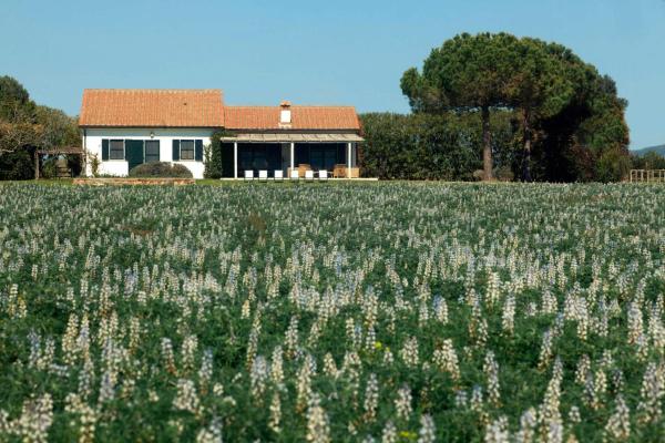 På billedet ses objektet Cottage With Views Of Lake Burano beliggende i byen Capalbio.