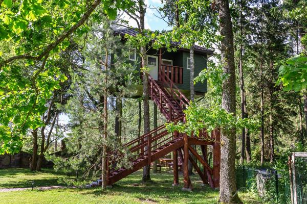 На фото показан объект Baba Yaga Treehouse, расположенный в городе Kurtuvėnai.