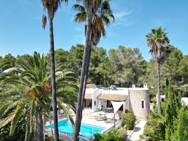 写真にはカラ・リェニャ市にあるprivate Villa mit eigenem Pool unter Palmenが写っています。