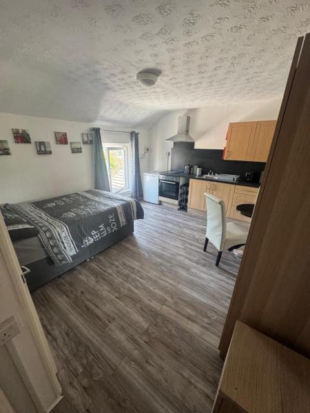 Na fotografii je vidět objekt Tredegar studio flat nacházející se ve městě Ebbw Vale.