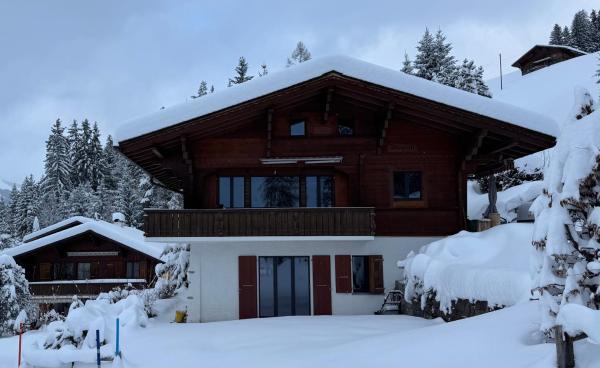 A la foto es mostra l'objecte Chalet Schneelöwe situat a la ciutat de Arni Alp.