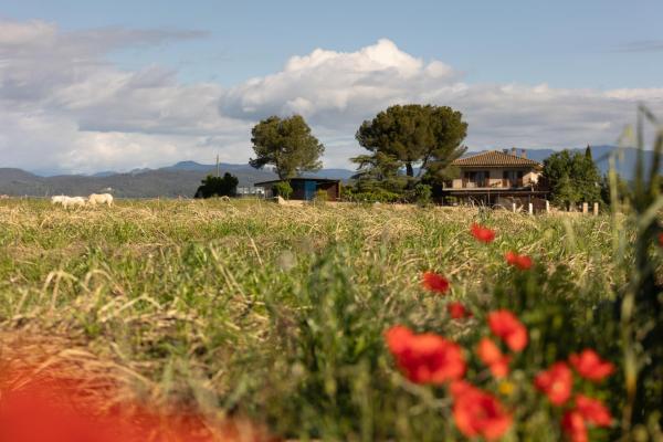 A la foto es mostra l'objecte Panorama! situat a la ciutat de Lladó.