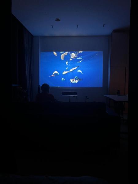 Na zdjęciu widoczny jest obiekt Design apartment with view to Nemunas, Prienai położony w mieście Pakapiai.