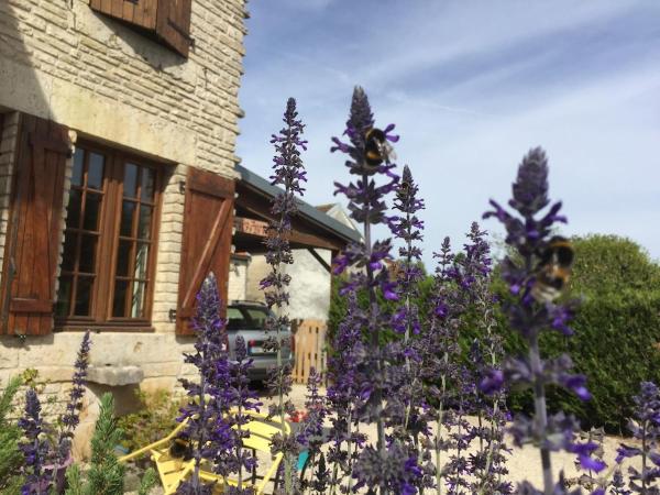 På billedet ses objektet Gîte champenois les voisins beliggende i byen Saint-Usage.