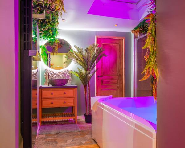 A la foto es mostra l'objecte Suite jungle amour détente situat a la ciutat de La Flèche.