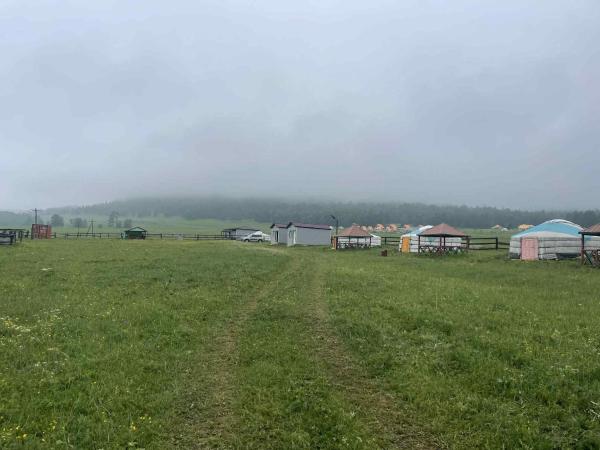 The photo shows the Tumee's campsite located in the city of Bulgan.