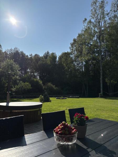 A la foto es mostra l'objecte Maalähedane elamus Saaremaal! situat a la ciutat de Oti.