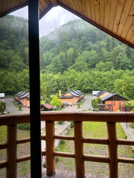 写真にはViişoara市にあるCasa Ardeleanuluiが写っています。