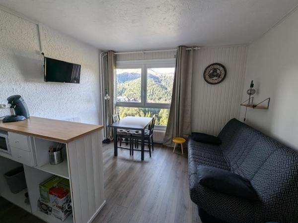 Studio Cabine Rénové Avec Vue Sur Le Centre, Wifi Et Animaux Acceptés - Fr-1-787-117 - Le Lioran