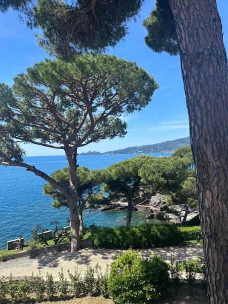 Na foto é possível ver o objeto The terrace on Portofino Appartamento Terrazzo Portofino localizado na cidade de Zoagli.