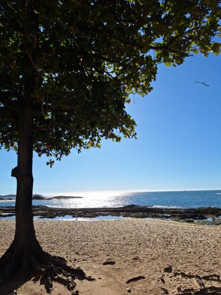 A la foto es mostra l'objecte Apto 215 Edifício Caparaó situat a la ciutat de Guarapari.