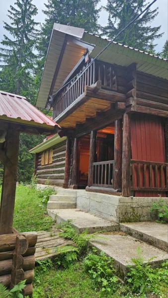 Kuvassa näkyy kohde Forest Peace, joka sijaitsee kaupungissa Plav.