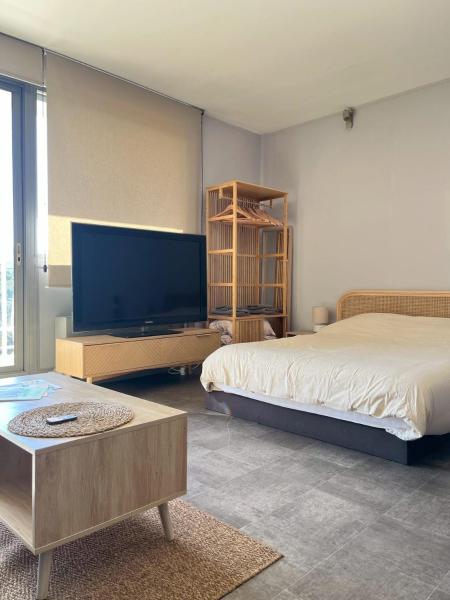 One Bedroom Apartment Centre Lyon, Лион