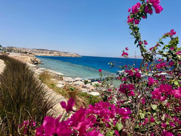 Trentadue Centoquindici Sharm - Scharm El-Scheich