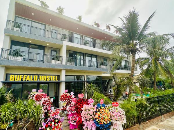A la foto es mostra l'objecte NinhBinh Buffalo Hostel situat a la ciutat de Vũ Lâm.