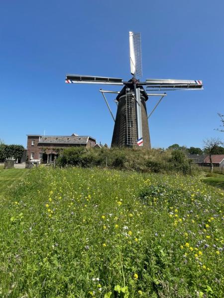 På billedet ses objektet Daar bij die Kempermolen beliggende i byen Gendringen.