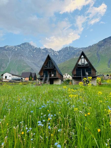A la foto es mostra l'objecte Kazbegi Harmony Cottages situat a la ciutat de Kazbegi.