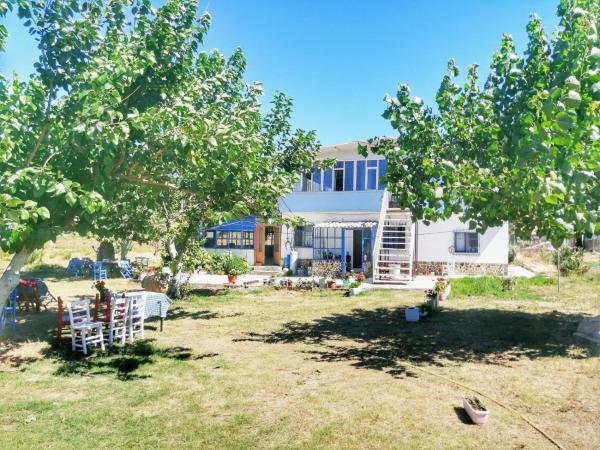 The photo shows the Liman cafe pansiyon located in the city of Gökçeada.