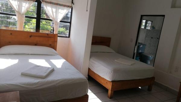 Na fotografii je vidět objekt Hotel Cuetzalan nacházející se ve městě Cedro.