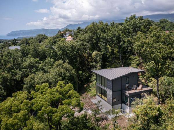 Nella foto è visibile l'oggetto the villa Oka - A ocean view villa with Onsen situato nella città di Ito.