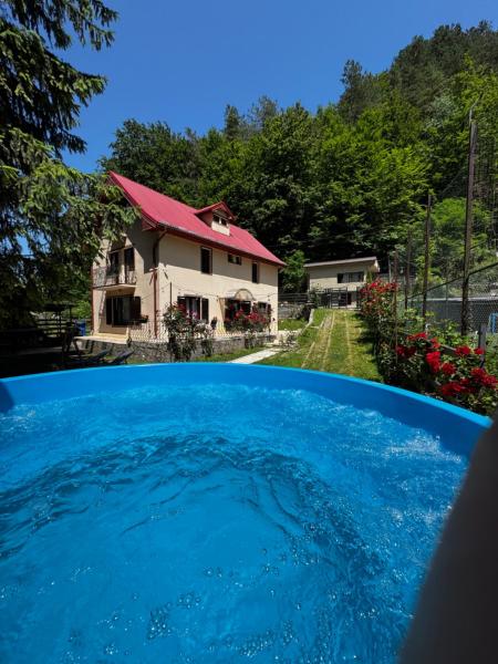 Na fotografii je vidět objekt Casa Trei Brazi Bratca nacházející se ve městě Damiş.