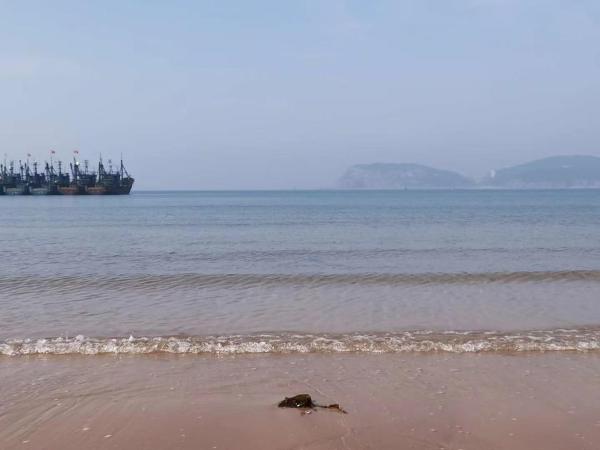 Фотография 8: 威海荣成拾栖海舍