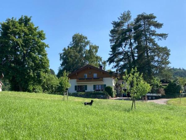 Ferienwohnung Goas-alm - Taching am See