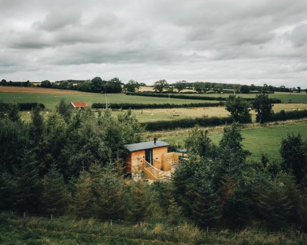 A la foto es mostra l'objecte The Wildflower Shepherd's Hut situat a la ciutat de Ryal.