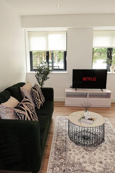 A la foto es mostra l'objecte Modern & Stylish 1 Bedroom Flat in Solihull situat a la ciutat de Solihull.