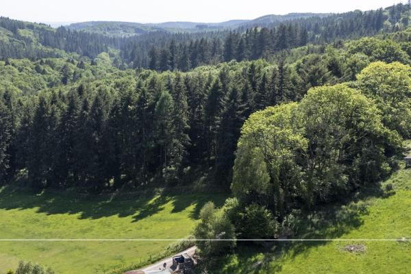 Foto 3: Stables