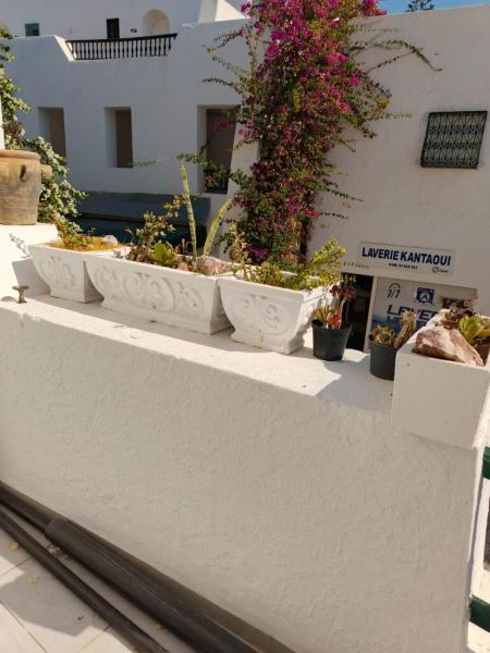 Na fotografii je vidět objekt Nova Marina El Kantaoui nacházející se ve městě Sousse.