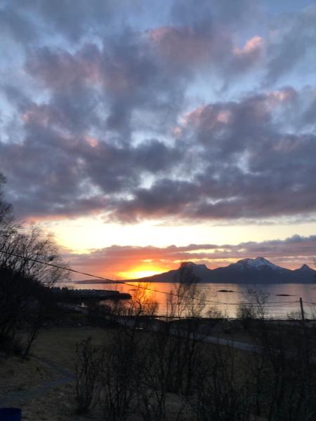 A la foto es mostra l'objecte Midnight Sun Road situat a la ciutat de Bodø.