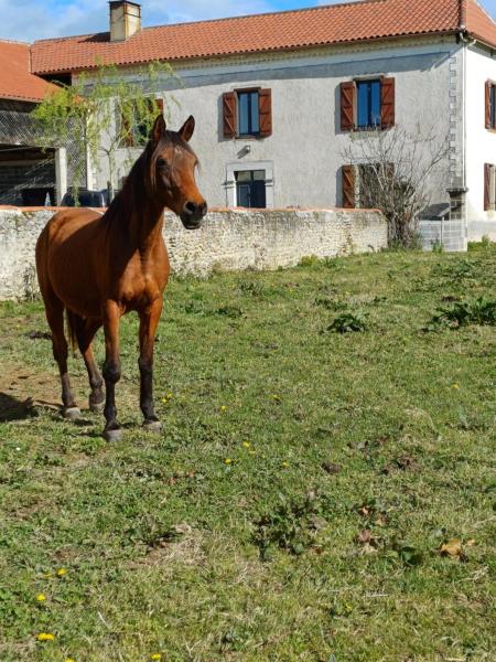A la foto es mostra l'objecte Des Racines et des Rêves situat a la ciutat de Aubarède.