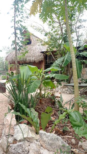 En la foto se muestra el objeto Camping Rancho El Tauro ubicado en la ciudad de Macario Gomez.