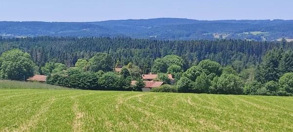 Nella foto è visibile l'oggetto Au coeur des bois à Monadière situato nella città di Mayres.