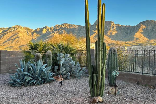 A la foto es mostra l'objecte Starmist Mountain View situat a la ciutat de Oro Valley.