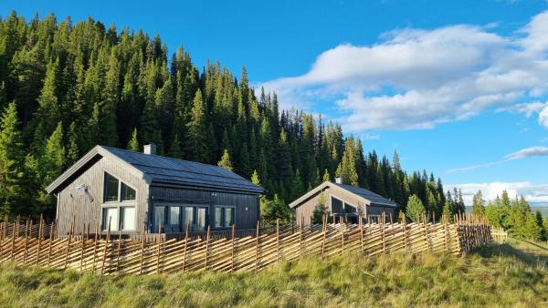 Na fotografii je vidět objekt Modern mountain cabin in Tisleidalen, Golsfjellet nacházející se ve městě Hovda.