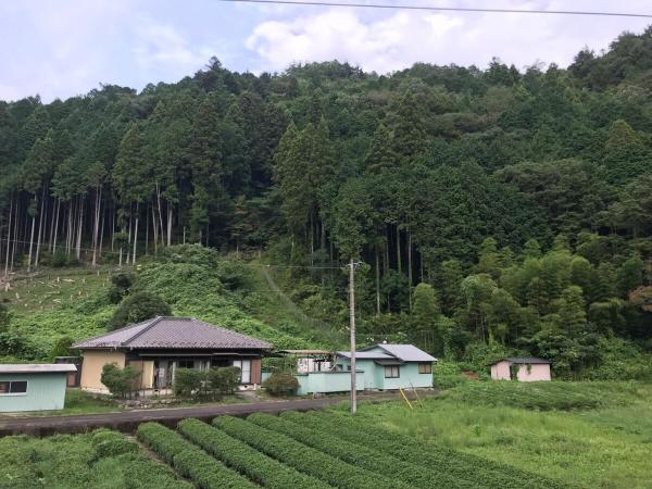 Foto 2: 一棟貸したじま