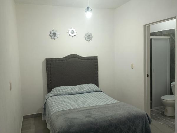 Na fotografii je vidět objekt Minidepartamento centrico nacházející se ve městě San Luis de la Paz.