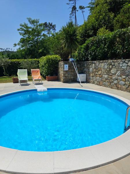 Orchidea - Cinque Terre