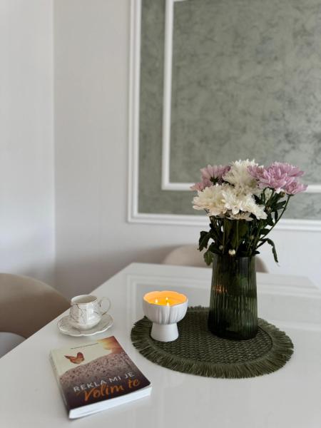 Nella foto è visibile l'oggetto Apartman Centar situato nella città di Teslić.