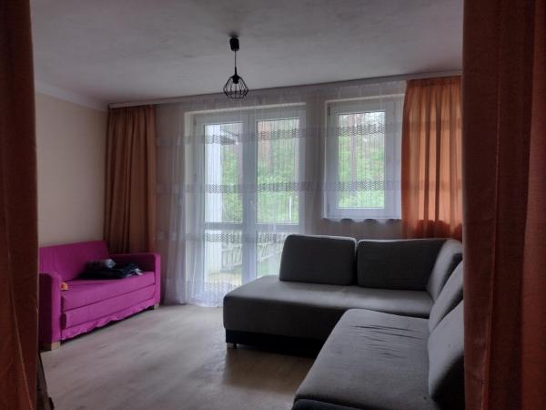 写真にはPrzedbórz市にあるPositive energy 3が写っています。