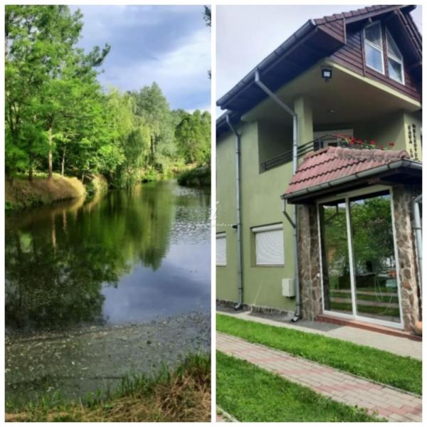 A la foto es mostra l'objecte Casa la Helesteu situat a la ciutat de Cărpiniş.