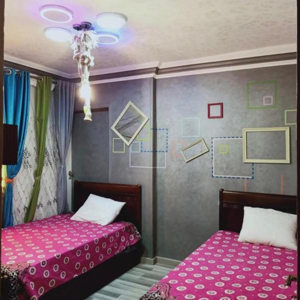 الاسكندرية ـ ميامي ـ خالد بن الوليد - Alexandria