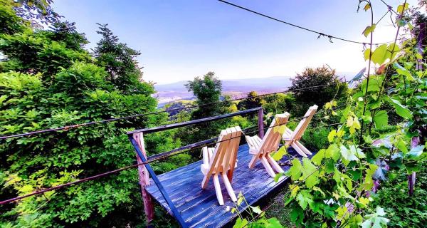 Foto 7: Studio in Novo mesto - dostava - Kranjska Krain 26035