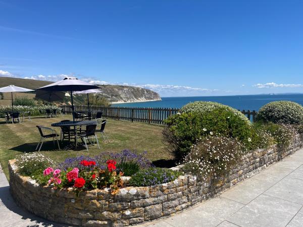 Nella foto è visibile l'oggetto The Pines Hotel situato nella città di Studland.