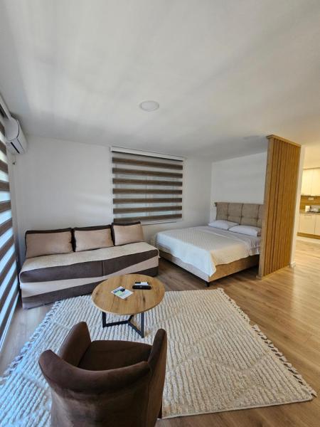 Apartment Anita Cetinje 2 - Karadağ