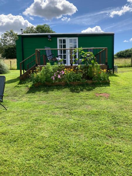 Shepherds Hut (Benny's) - Devon