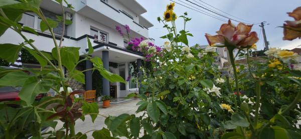 På billedet ses objektet Villa Grafenberg Ulcinj beliggende i byen Ulcinj.